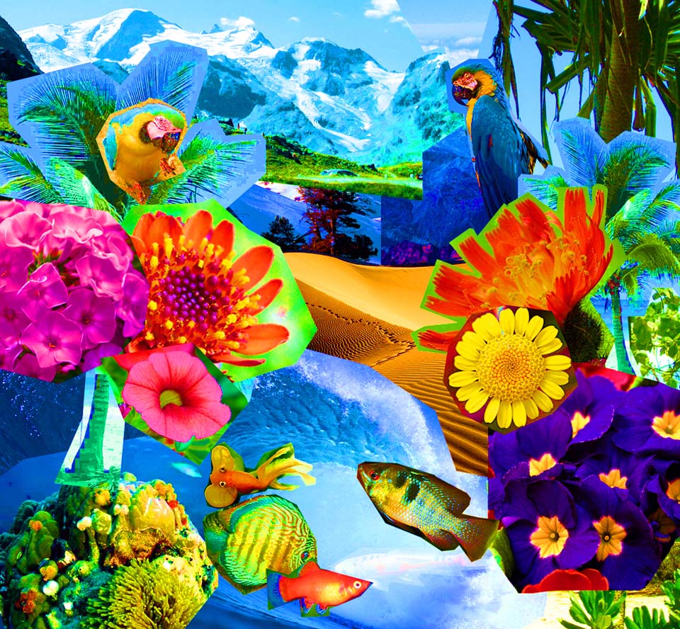 Collage Pracht der Natur